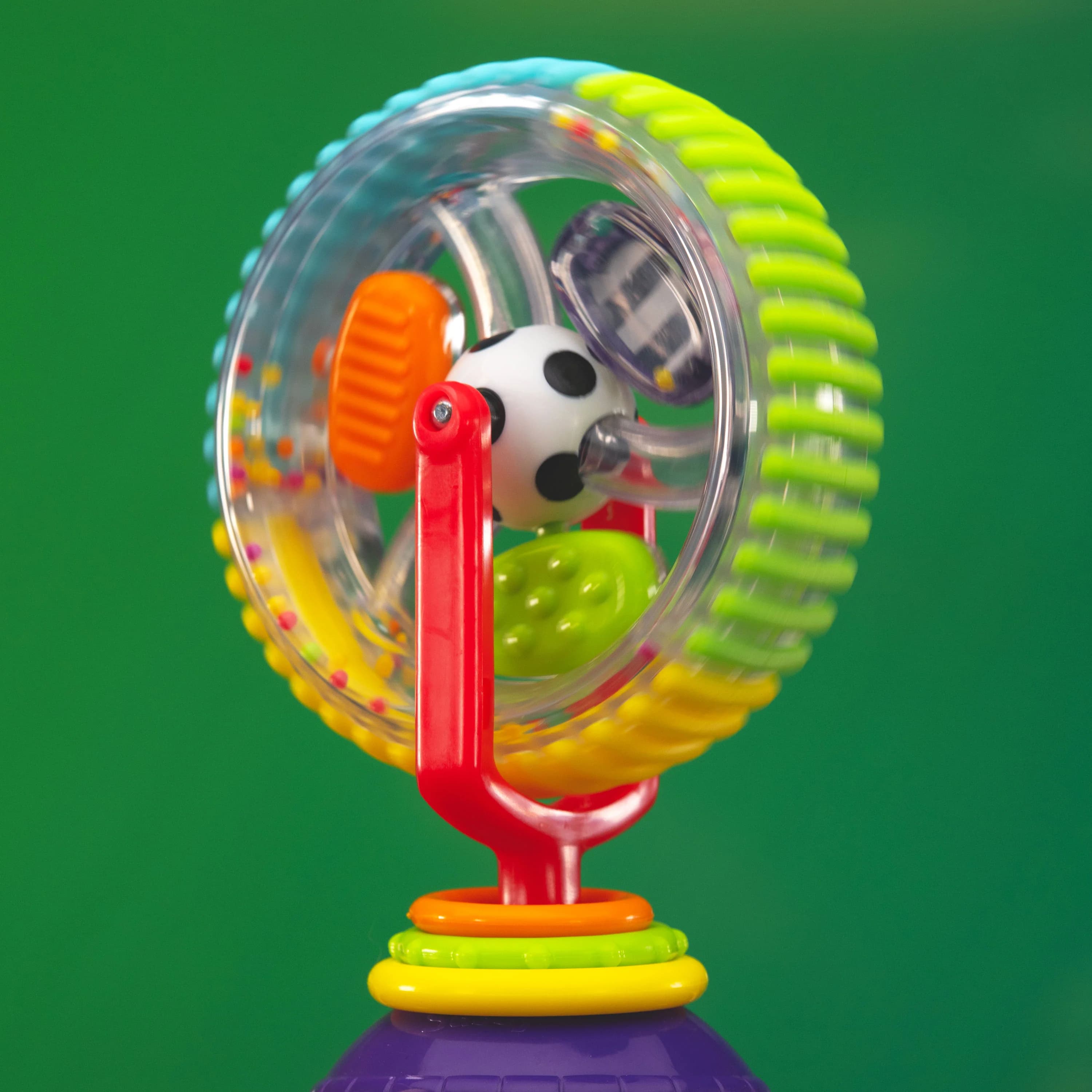 Roue colorée à ventouse - SASSY